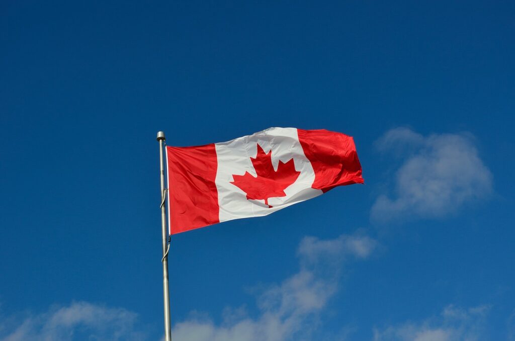 canadian flag, canada, maple